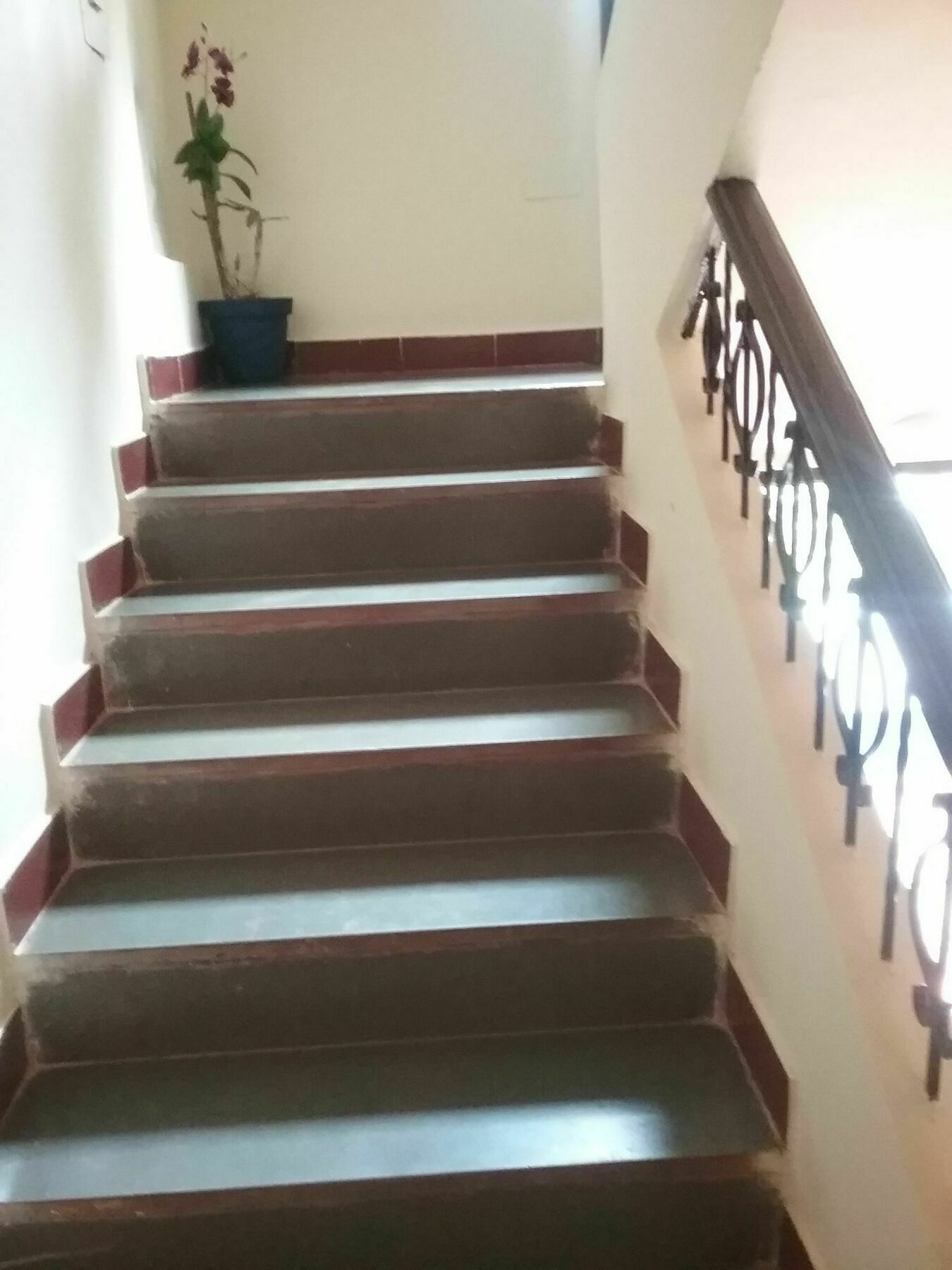 โรงแรมบาคา วิลลา Saligao ภายนอก รูปภาพ